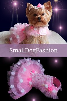 a small dog wearing a pink tutu skirt and shoes with the caption small dog fashion