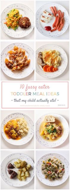 the top ten main meals for toddlers to eat in their own kitchen, including meats and vegetables