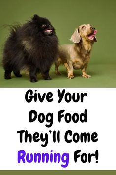 Say good-bye to boring dog food!  Nom Nom dog food is real dog food, delivered right to your door.  Check out the response from dogs!

This is an affiliate link.  If you use my link to purchase  Nom Nom dog food, I will receive a small commission.  I donate 10% of my earnings to animal charities.  Debra