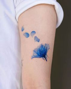 a blue feather tattoo on the right arm and left arm with watercolor feathers coming out of it