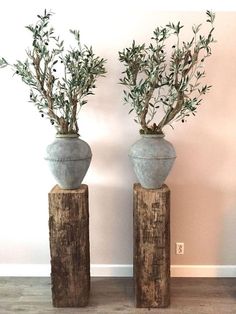 two vases that have plants in them