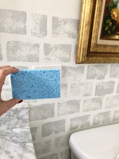 a person holding up a blue sponge in front of a white toilet