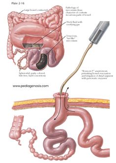 Medicine Quotes, Sweat Gland, Nursing Notes, Digestive System, Infants, Biology, Green And Grey