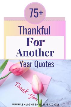 pink tulips with the words 75 + thank you for another year quotes