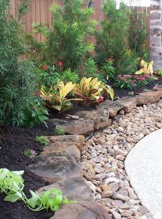 a garden with rocks and plants in it