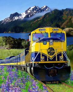 a yellow and blue train traveling through a lush green field filled with purple wildflowers