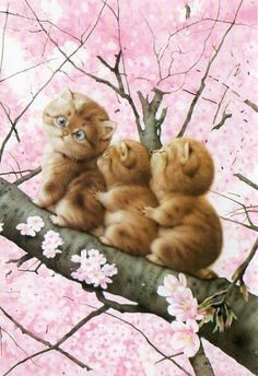 three kittens are sitting on a branch with pink flowers