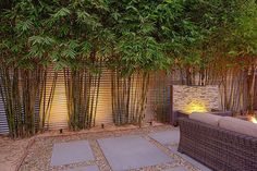 an outdoor living area with stone flooring and bamboo trees on the wall behind it