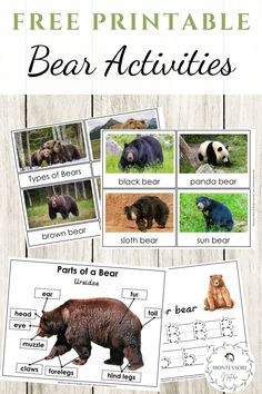 printable bear activities for kids to learn about the animals in their habitat, including pictures and