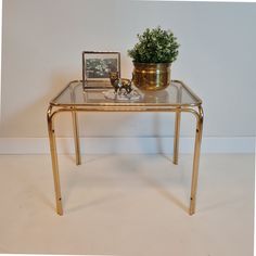 a glass table with a potted plant on top and a gold frame next to it