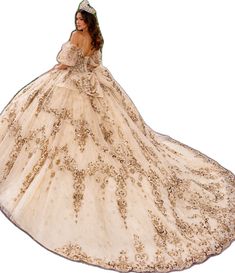 Dama Dresses Quinceanera, 1500 Dresses, Tulle Ballgown, Dama Dresses, Military Ball Dresses, Champagne Dress, Rachel Allan, Quinceanera Dress, Illusion Dress