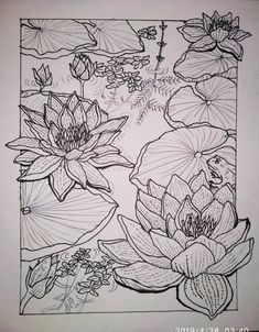 an ink drawing of flowers and leaves in a square frame with water lilies on the side