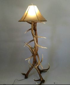 a lamp with antlers on it sitting next to a wall