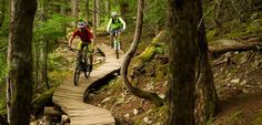 two people riding bikes on a wooden path in the middle of a forest with trees