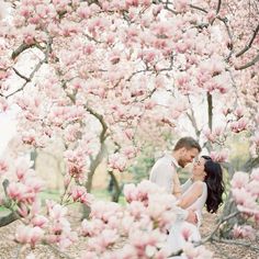 Central Park Spring, Spring Engagement Photos, Spring Photoshoot, Wedding Pic, Spring Engagement, Spring Photos, Film Wedding, Shooting Photo, Photo Couple