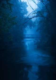 a foggy river with a bridge in the middle and trees on either side at night