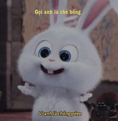 a white bunny with big blue eyes standing in front of a black cat and text that reads, goi anh la che bong