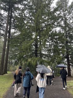 several people walking down a path with umbrellas in the rain and trees behind them