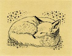 a drawing of a sleeping fox with stars in the background