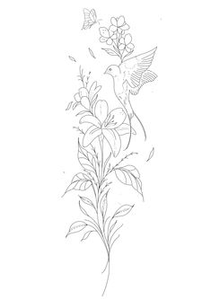 a line drawing of a hummingbird and flowers