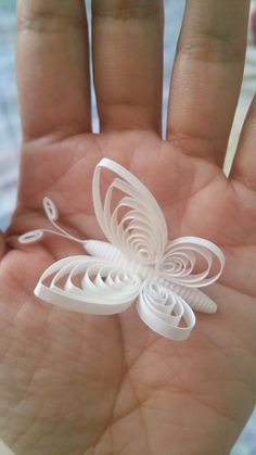 a hand holding a small white butterfly on it's palm