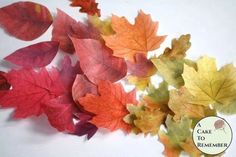 some leaves are laying on top of each other with the words cake to kremberg below them