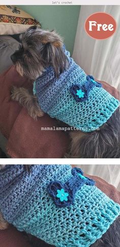 a small dog wearing a crocheted blue hat with a bow on it's head