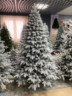 several different types of christmas trees in a store