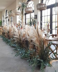 some plants are lined up on the side of a wall in front of large windows