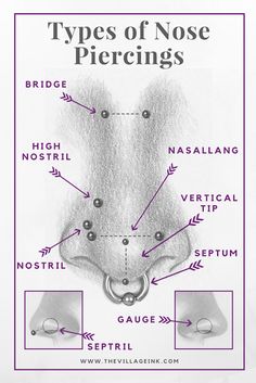 the types of nose piercings are shown in purple and black text on white paper