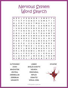 the nervous system word search is shown in this purple and white poster with words on it