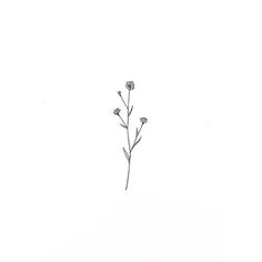 Baby Breath Tattoo, Dainty Flower Tattoos, Flower Hip Tattoos, Illustration Plants, Simple Flower Tattoo, Sunshine Tattoo, Cute Finger Tattoos, Flower Wrist Tattoos, Sun Tattoos