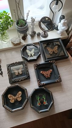 there are many small trays on the table that have butterflies in them and other decorations