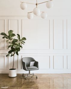 a chair and a potted plant in an empty room with white paneled walls