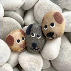 Cow Painted Rock, Pocket Rocks, Rock Faces, Pocket Hugs, Secret Sister, Painted Dog, Diy Rock Art, Stone Art Painting