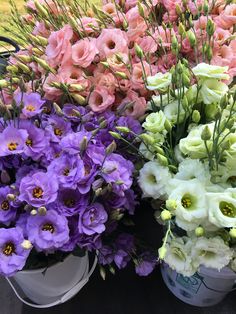 several buckets filled with different types of flowers