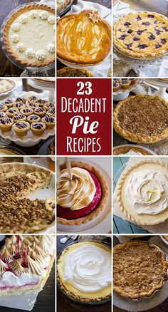 eight different pies with the words, 23 decadent pie recipes on top and bottom