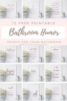 bathroom humor printables with flowers in buckets and the words, free printable bathroom