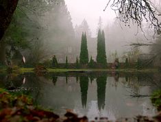 a lake surrounded by trees in the middle of a forest with foggy skies above it