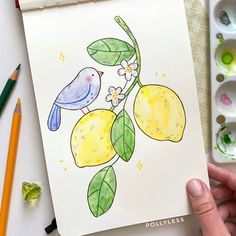 a drawing of two lemons and a bird on a tree branch with flowers in the background