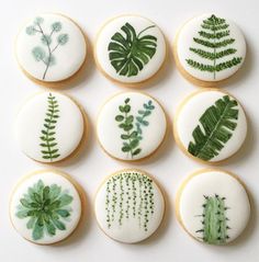 the cookies are decorated with green plants and leaves on white icing, along with an instagram caption