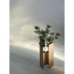 two tall vases with plants in them on a white surface, one is gold and the other has green leaves