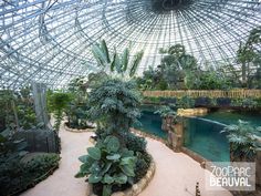 the inside of a large glass dome with plants and trees in it's center