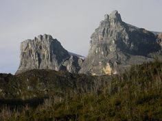 some very tall mountains with trees and bushes