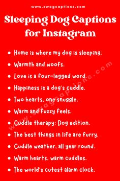 Sleeping Dog Captions for Instagram Dog Sleeping Quotes, Sleepy Dog Quotes, Dogs Captions Instagram Cute, Dog Captions For Insta, Dog Love Quotes, Captions For Instagram Cute, Dog Captions, Dog Instagram Captions, Captions For Pictures