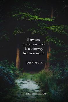 a path in the woods with a quote from john mur on it that says, between every two pines is a doorway to a new world