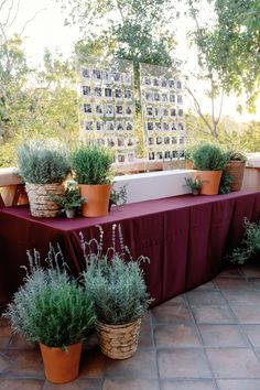 RANCHO VALENCIA — Erica Marie Events