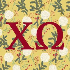 the letters xo and o are surrounded by white flowers on a yellow background with red stems