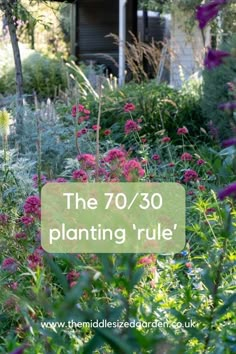 the 70 / 30 planting's rules are in full bloom