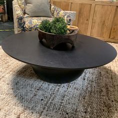 a table with a potted plant on it in front of a couch and chair